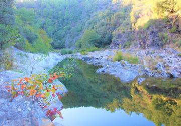 Camping Le Moulin du Luech