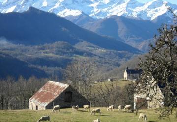 Camping Le Haut Salat