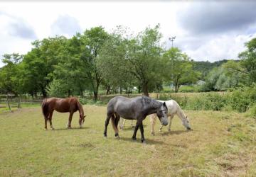 Camping Seasonova Les Portes d'Alsace